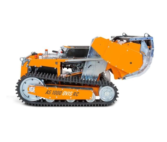 AS 1000 OVIS RC - immagine 5