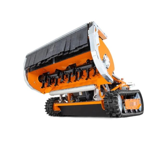 AS 1000 OVIS RC - immagine 3