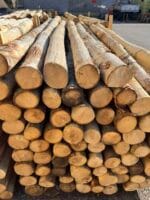 B Palo di castagno diametro 10/12 cm