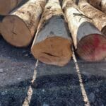 B Palo di castagno diametro 16/18 cm