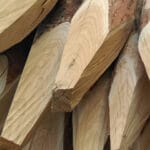 B Palo di castagno diametro 12-14 cm con punta