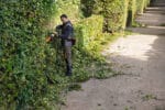 STIHL HSA 130 T 75 cm senza accu e caricatore - immagine 3