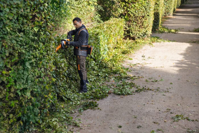 STIHL HSA 130 T 75 cm senza accu e caricatore - immagine 3