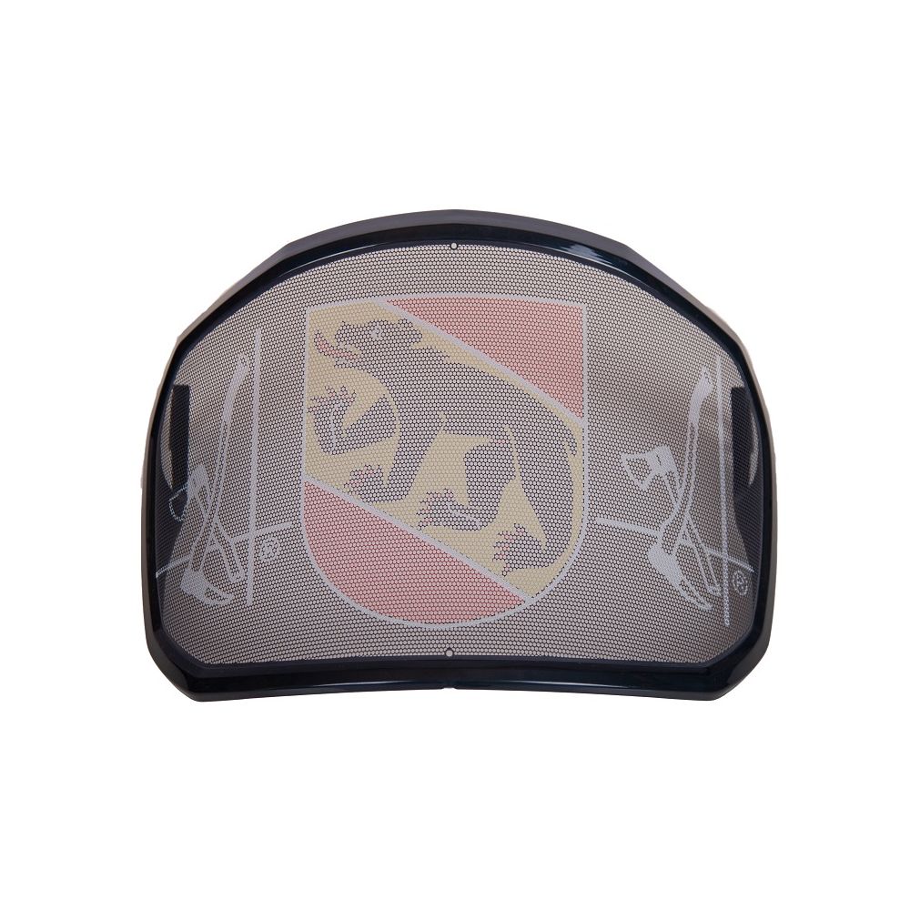 protos® integral visiera con stampa berna protos® integral visiera con stampa berna