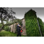 milwaukee tagliasiepi a palo