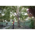 milwaukee potatore ad asta telescopico m18 fuel™ 30 cm