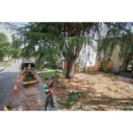 Milwaukee m18 fuel™ telescopic pole pruner 30 cm